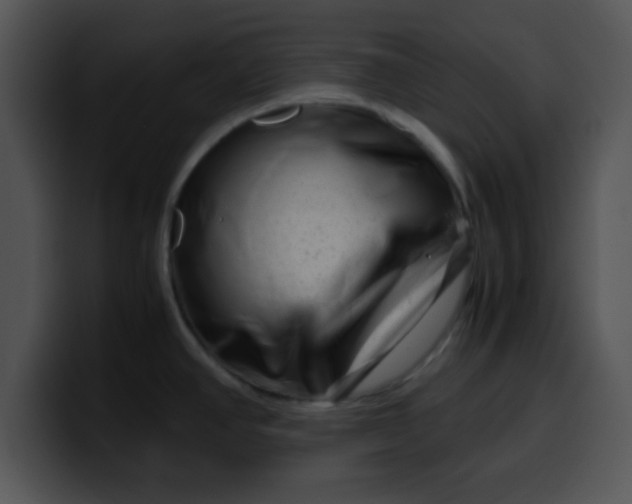 X0000099991390200806061535