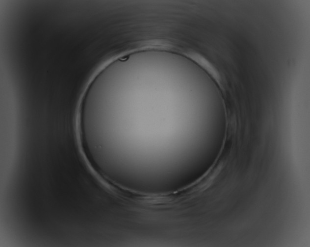 X0000099991391200806061535