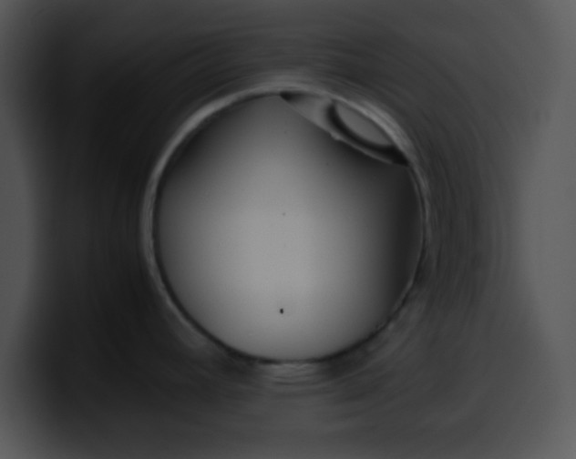 X0000099991392200806061535