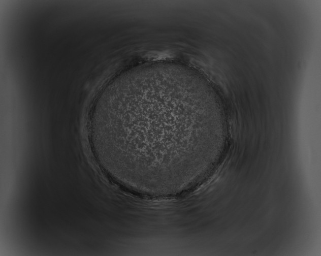 X0000099991393200806061534