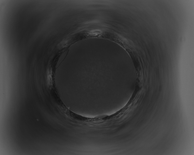 X0000099991394200806061534
