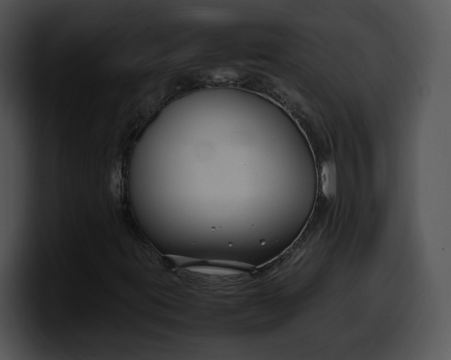 X0000099991395200806061534