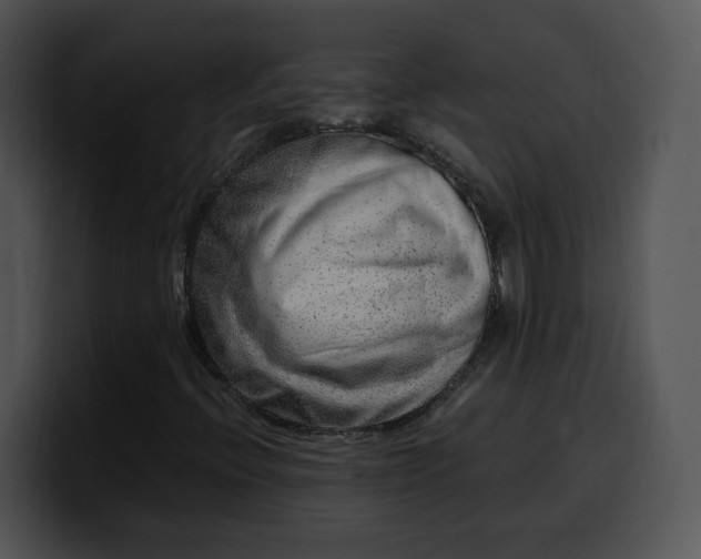X0000099991396200806061534