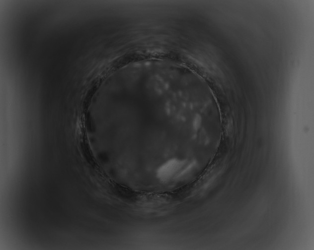 X0000099991397200806061534