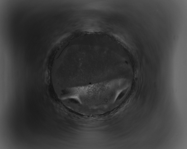 X0000099991398200806061534