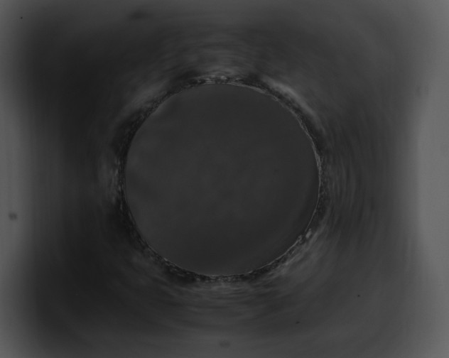 X0000099991399200806061534