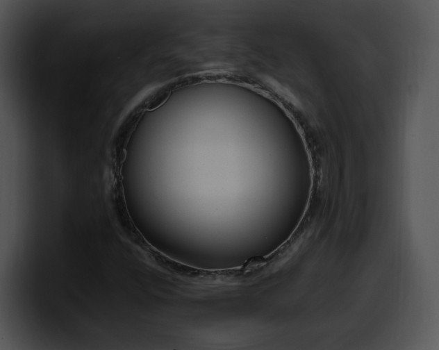 X0000099991400200806061535