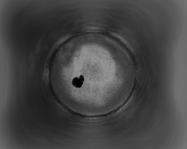 X0000099991402200806061535