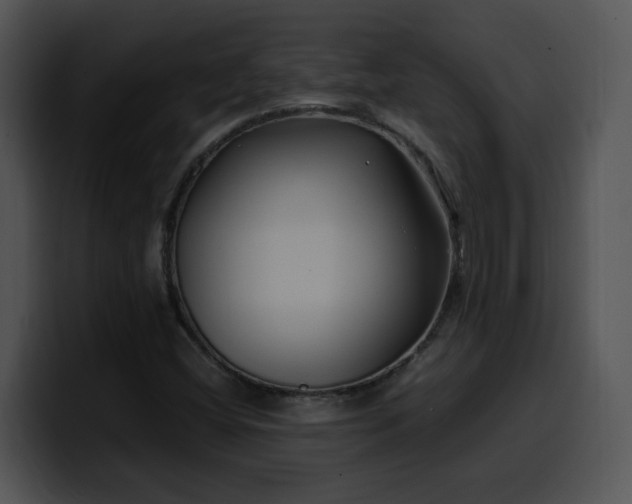 X0000099991404200806061535