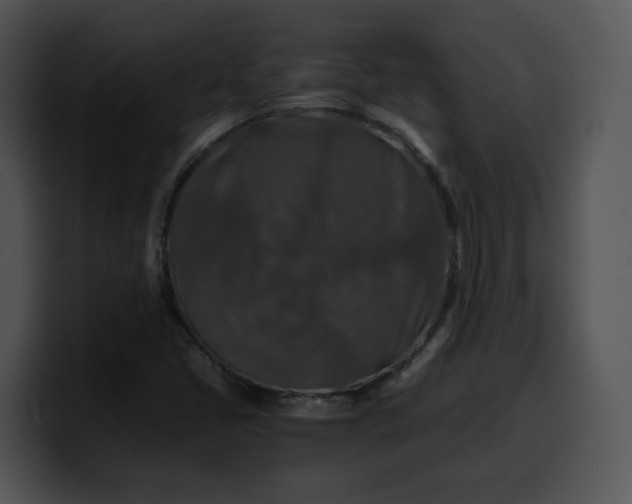 X0000099991405200806061535