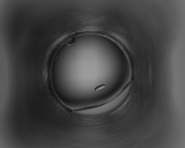 X0000099991406200806061535