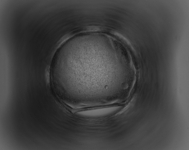X0000099991409200806061535