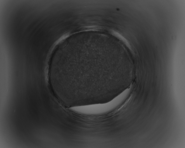 X0000099991411200806061535