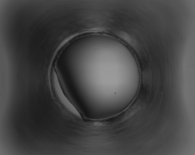 X0000099991412200806061535