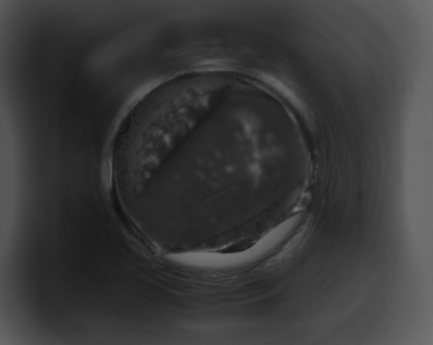 X0000099991413200806061535