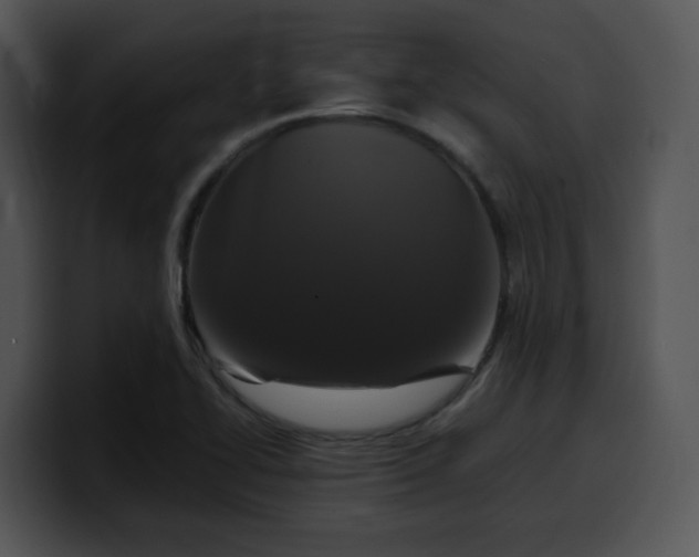 X0000099991414200806061535
