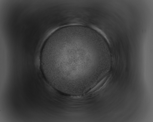 X0000099991415200806061535