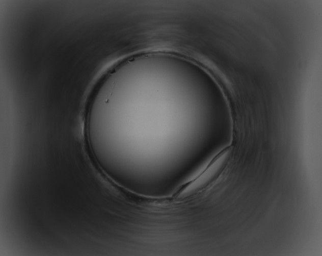 X0000099991416200806061535