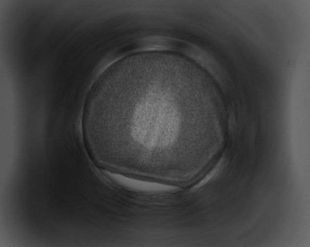 X0000099991417200806061535