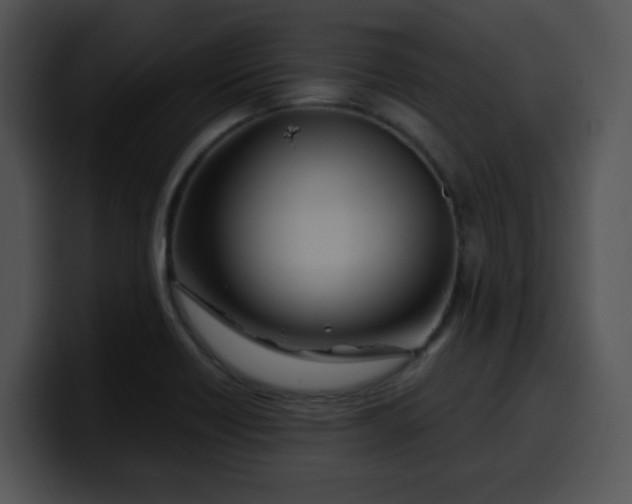 X0000099991418200806061535