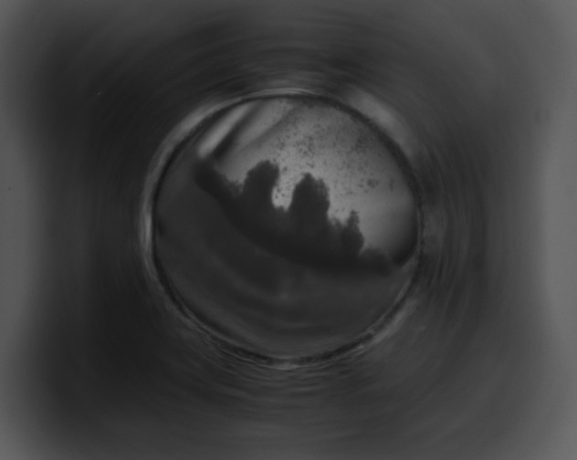 X0000099991419200806061535