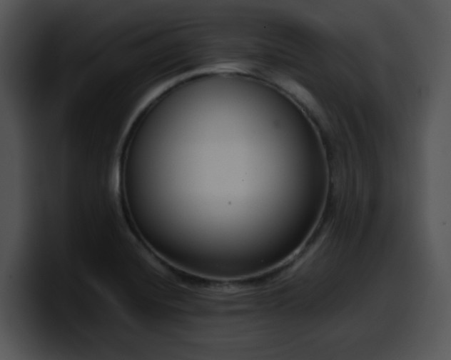 X0000099991420200806061535
