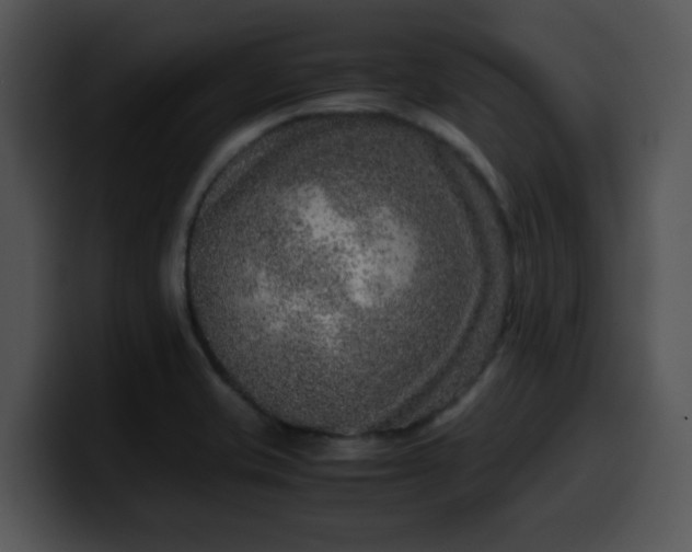 X0000099991421200806061535