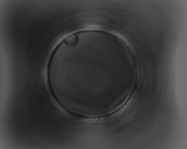 X0000099991422200806061535