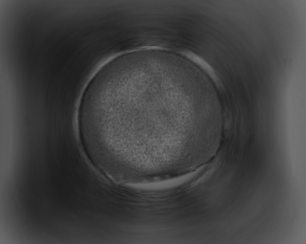 X0000099991423200806061535