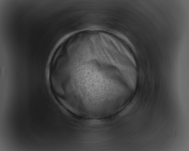 X0000099991424200806061535