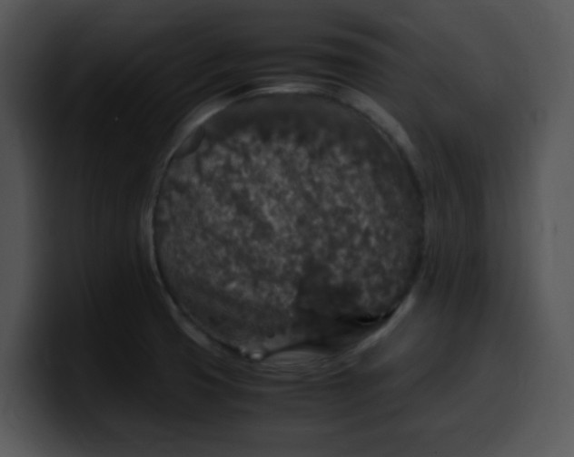 X0000099991425200806061535