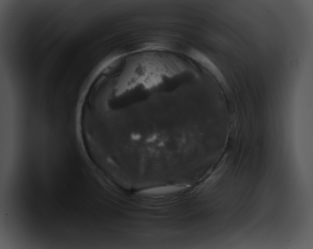 X0000099991427200806061535