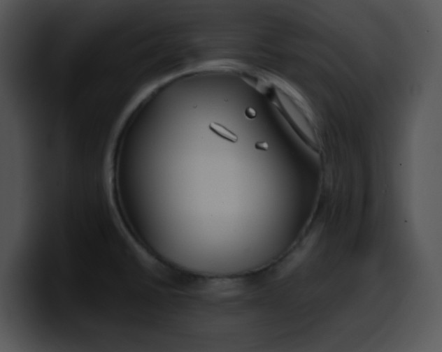 X0000099991430200806061535