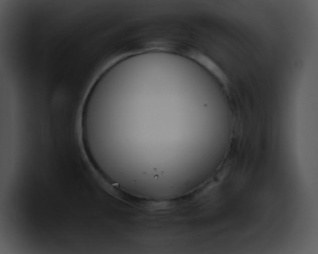 X0000099991431200806061535