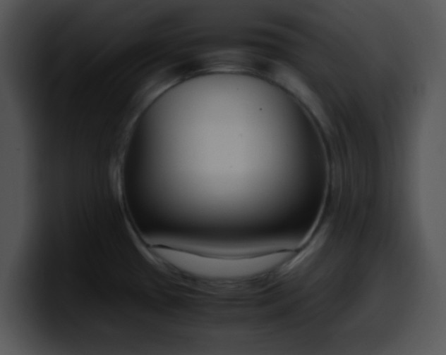 X0000099991433200806061535