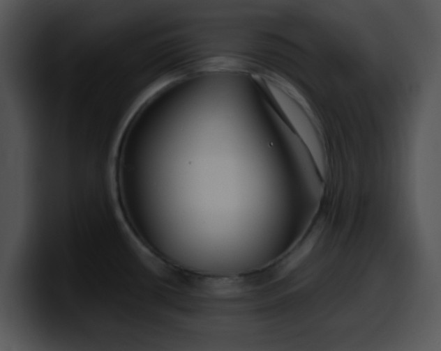 X0000099991434200806061535