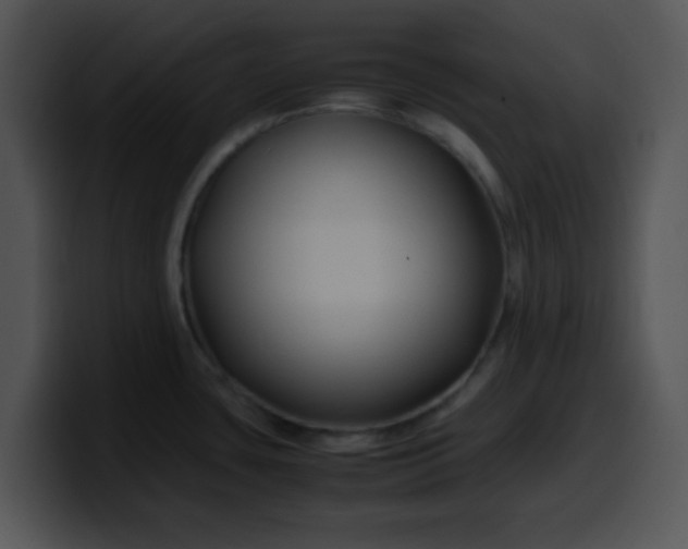 X0000099991435200806061535