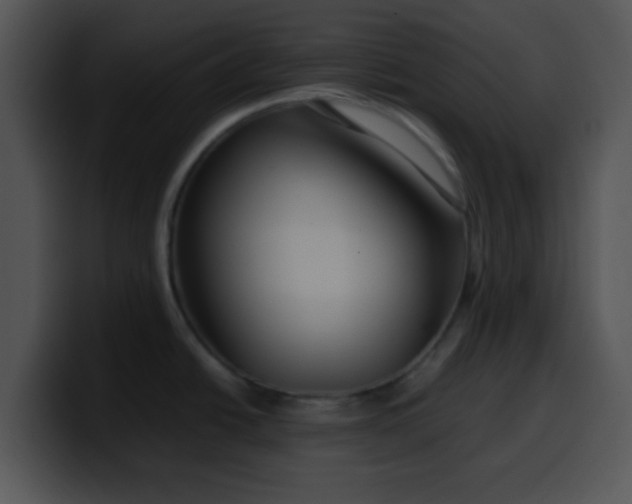 X0000099991438200806061535