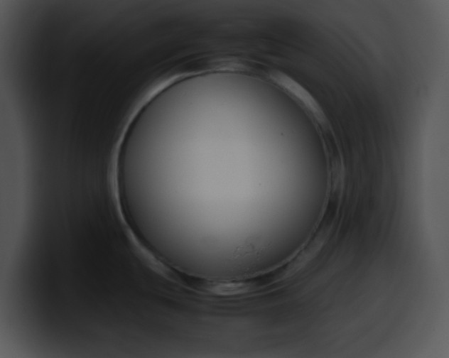 X0000099991439200806061535