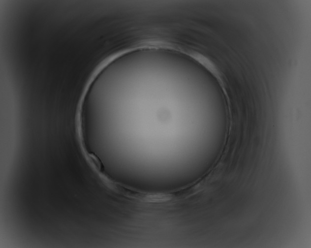 X0000099991440200806061535