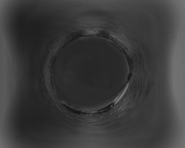 X0000099991441200806061534