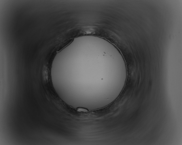 X0000099991442200806061534