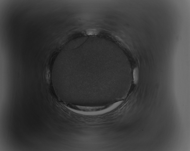 X0000099991443200806061534