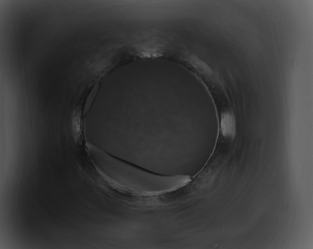 X0000099991444200806061534