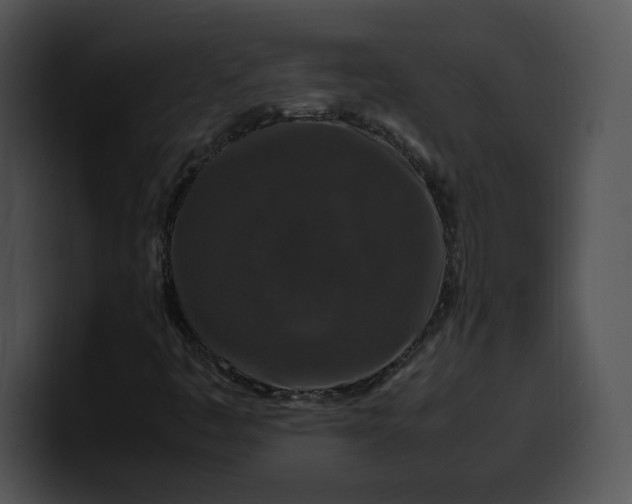 X0000099991445200806061534