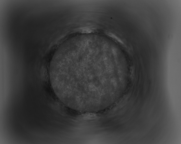 X0000099991446200806061534