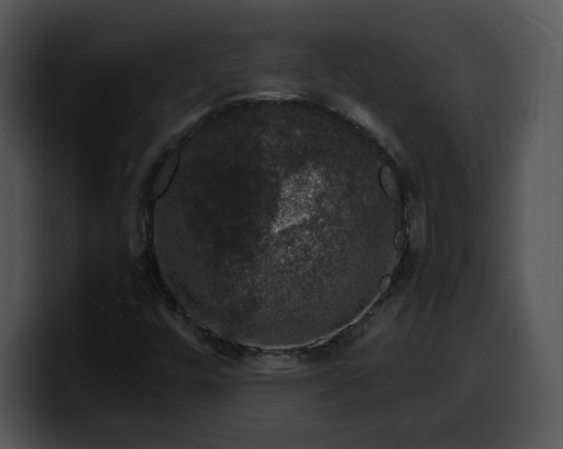 X0000099991448200806061534