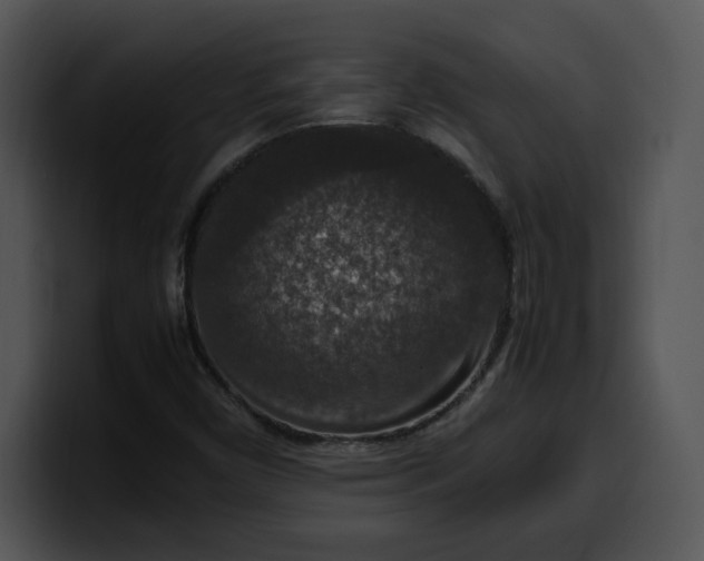 X0000099991450200806061534