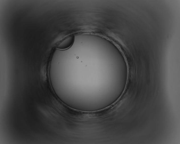 X0000099991451200806061534