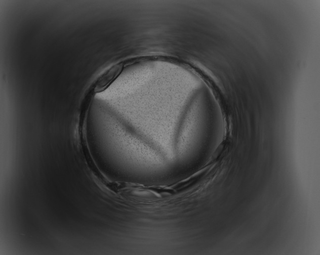 X0000099991452200806061534